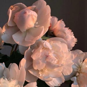 国产超碰人人做人人爱
