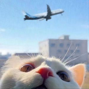 国产超碰人人做人人爱
